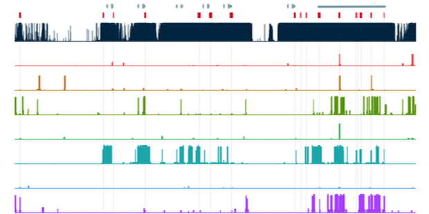 Placeholder image for deomnstration